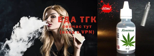 твердый Ельня