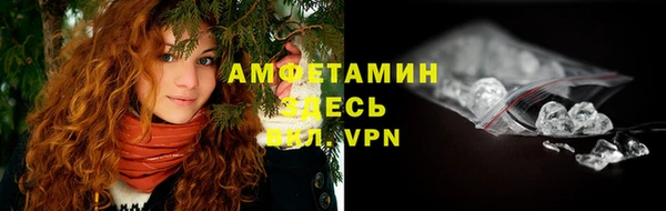 твердый Ельня