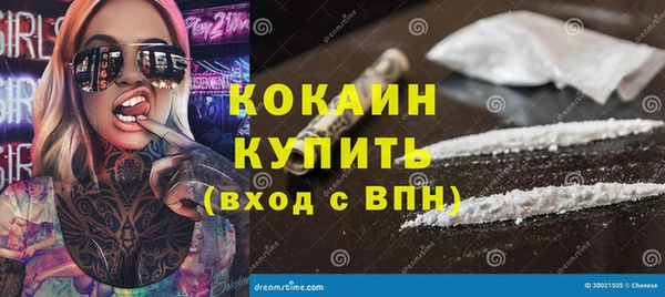 твердый Ельня