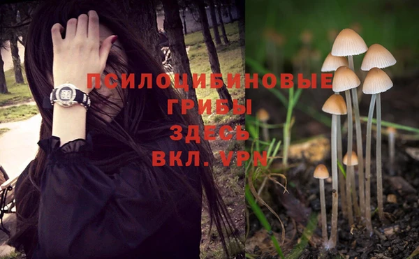 твердый Ельня
