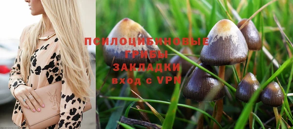 таблы Елабуга