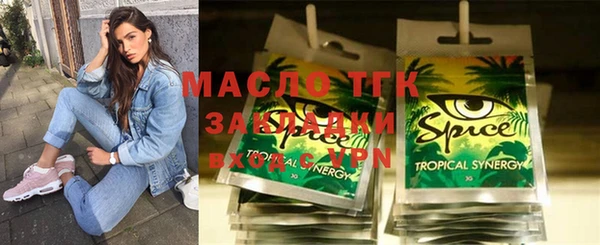 твердый Ельня
