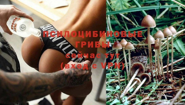 бутират Елизово